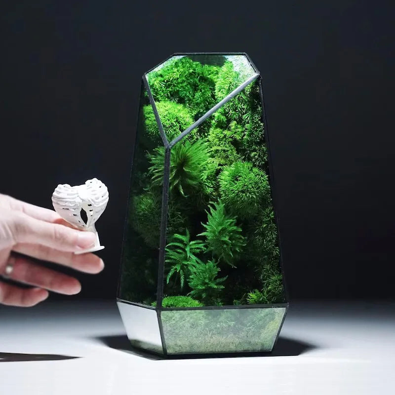 Sikunuo | Modern Geometric Nature-Inspired Botanical Terrarium