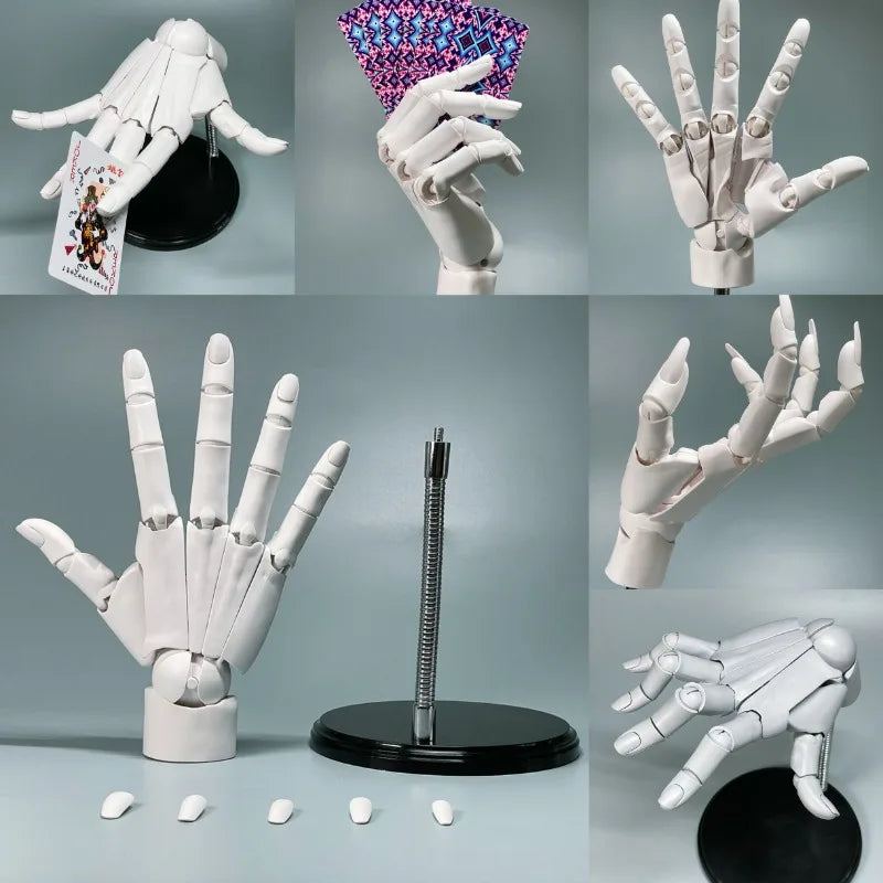Sikunuo | Multi-Pose Drawing Sculpting Art Hand Model