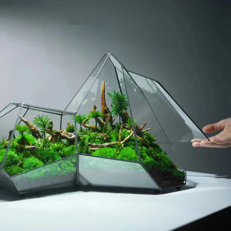 Sikunuo | Geometric Glass Moss Planter Terrarium Vase