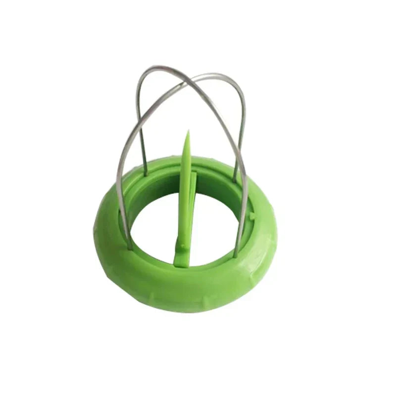 Sikunuo | Fruit Lover Kiwi Cutter