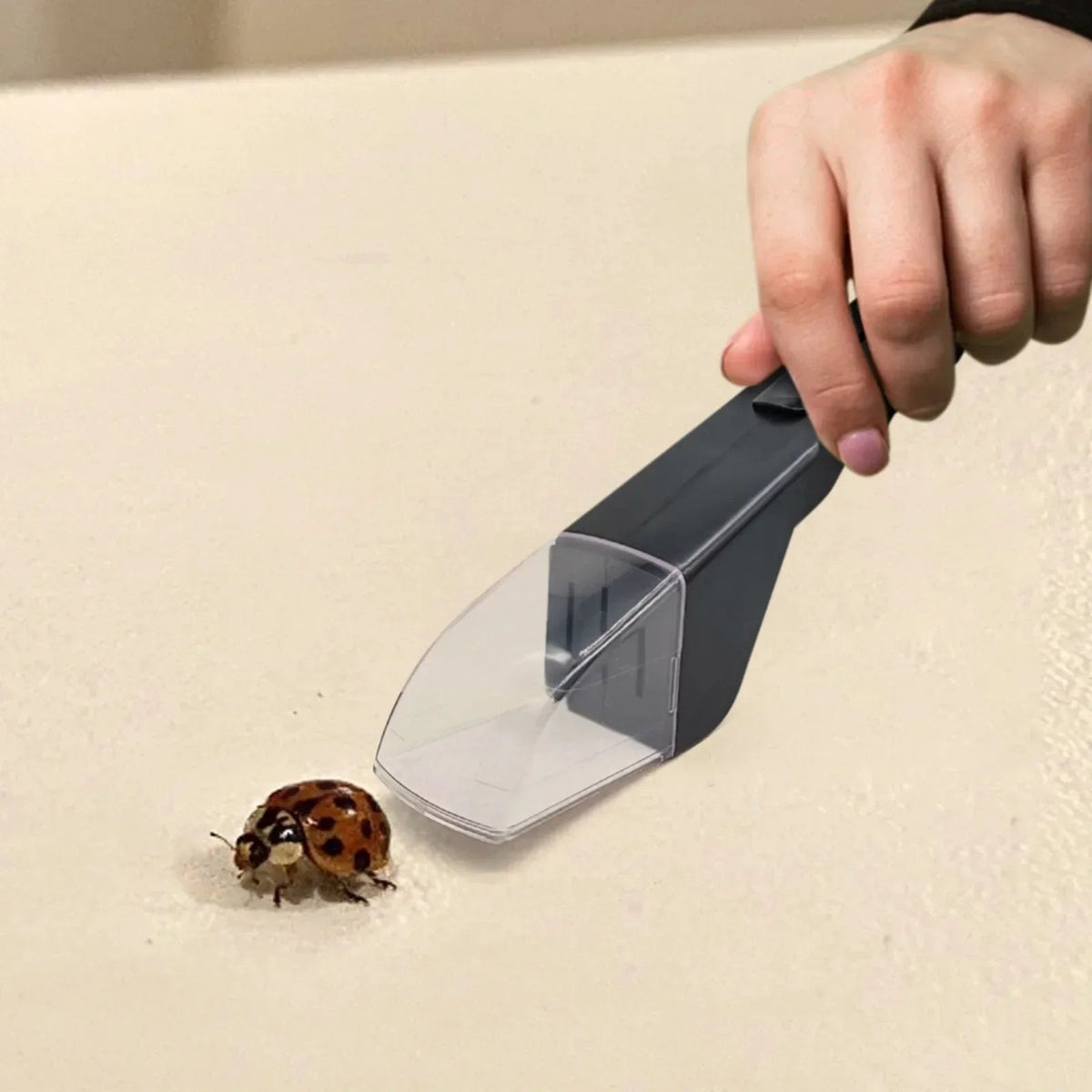 Sikunuo | No Exit Easy Insect Catcher Tool
