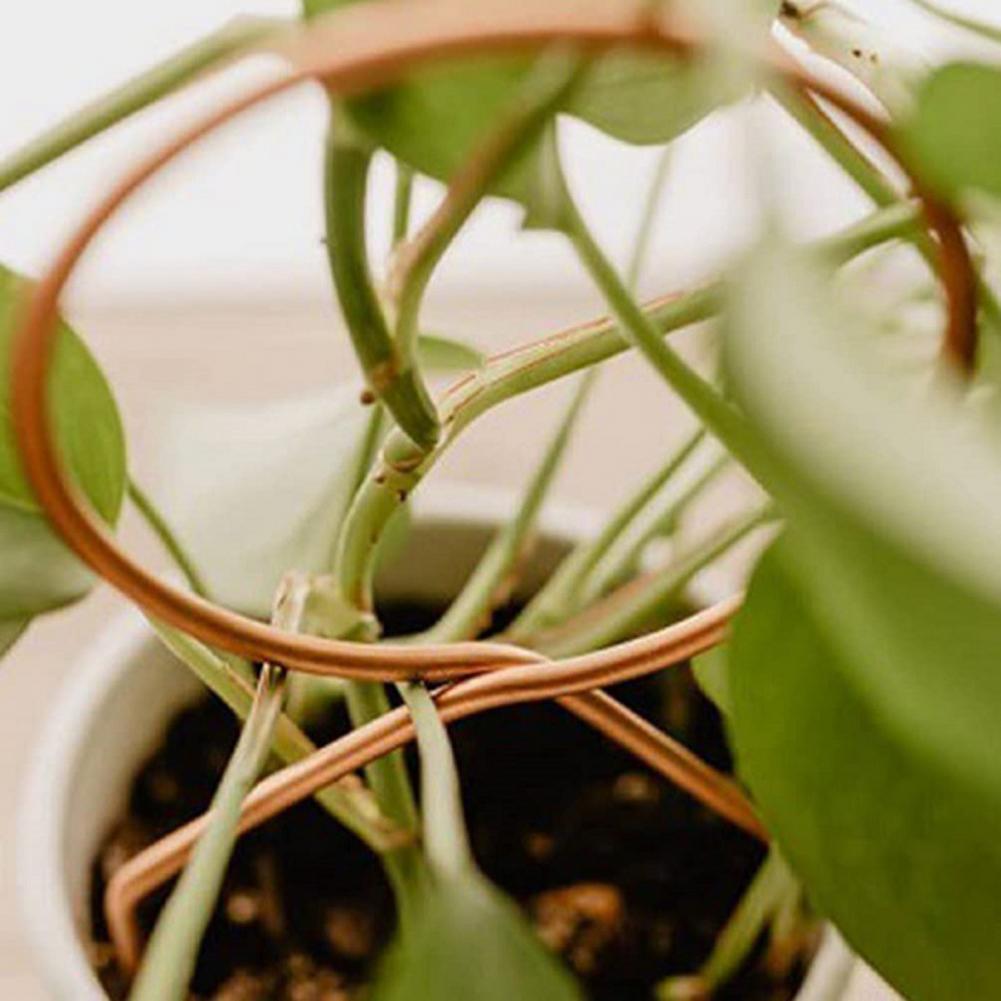 Sikunuo | Nordic Plant Climbing Rack