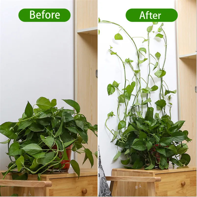 Sikunuo | Self-Adhesive Plant Holder Mini Wall Clips
