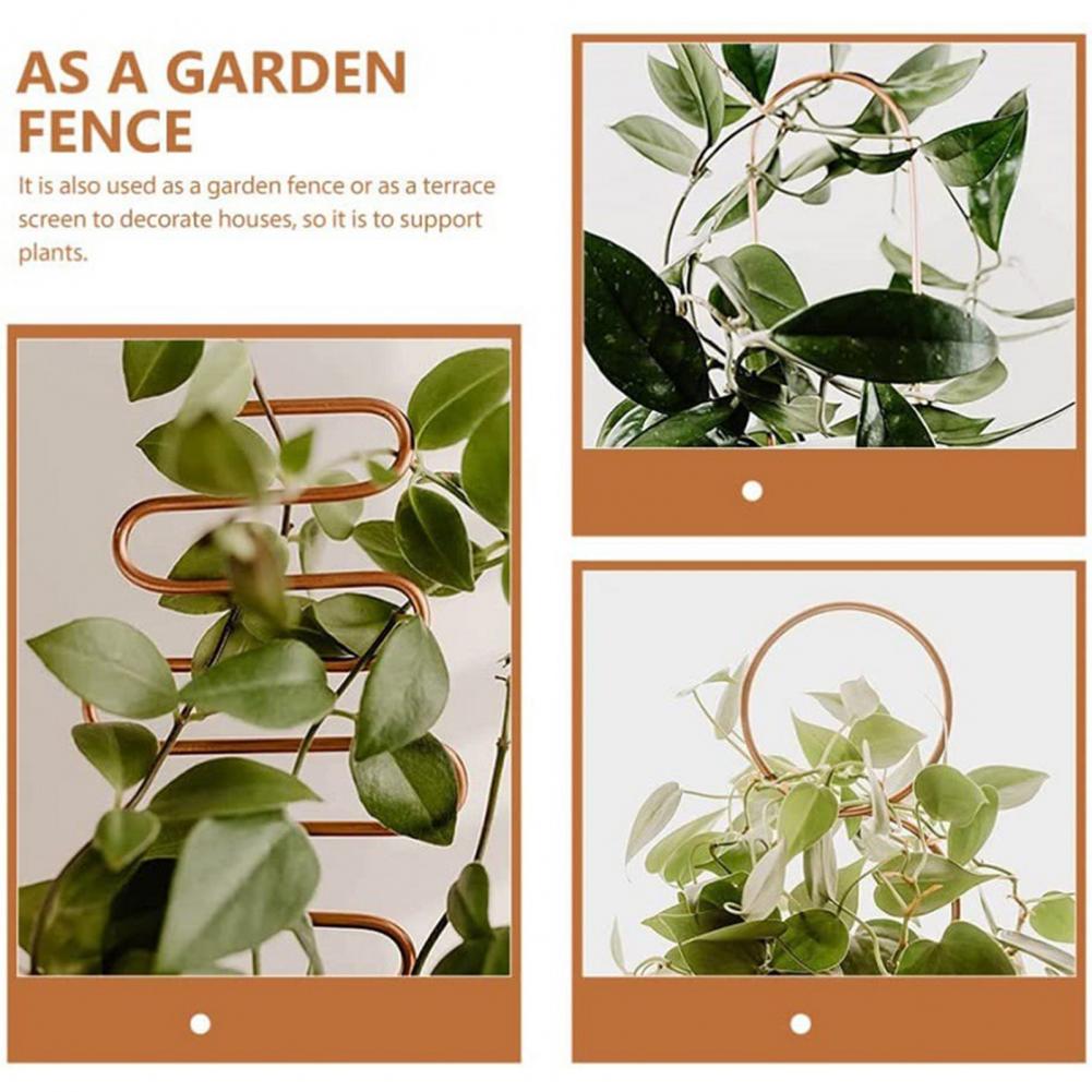Sikunuo | Nordic Plant Climbing Rack