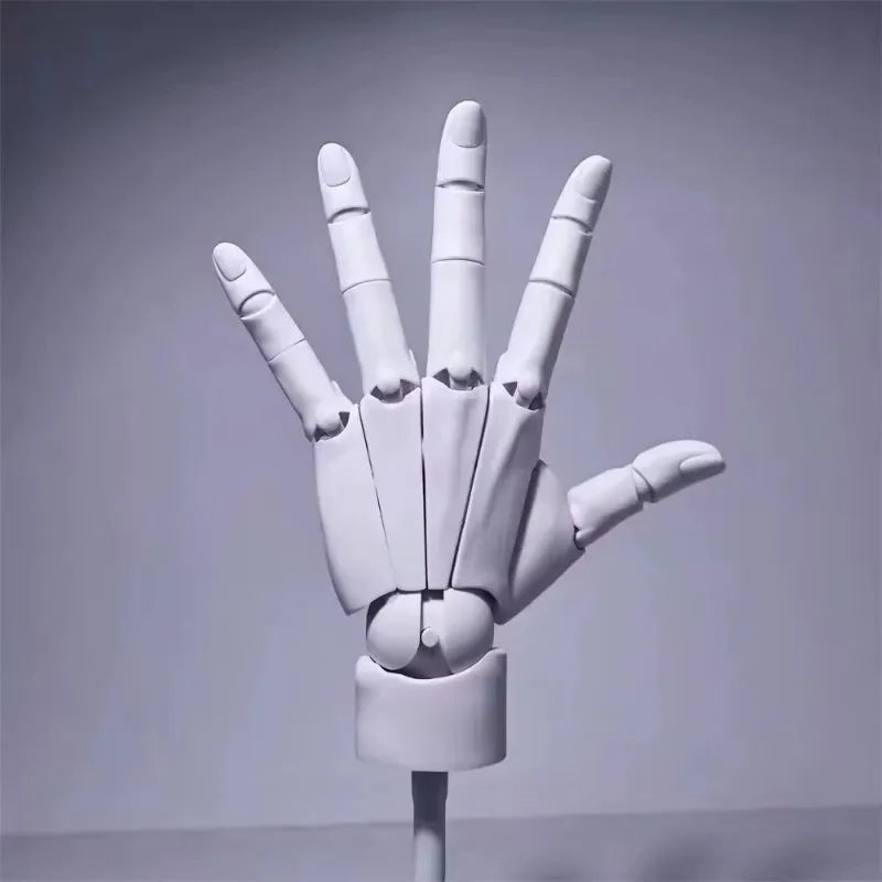 Sikunuo | Multi-Pose Drawing Sculpting Art Hand Model