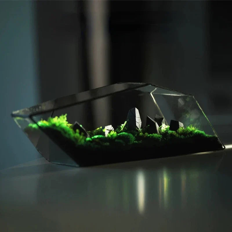 Sikunuo | Geometric Glass Moss Planter Terrarium Vase