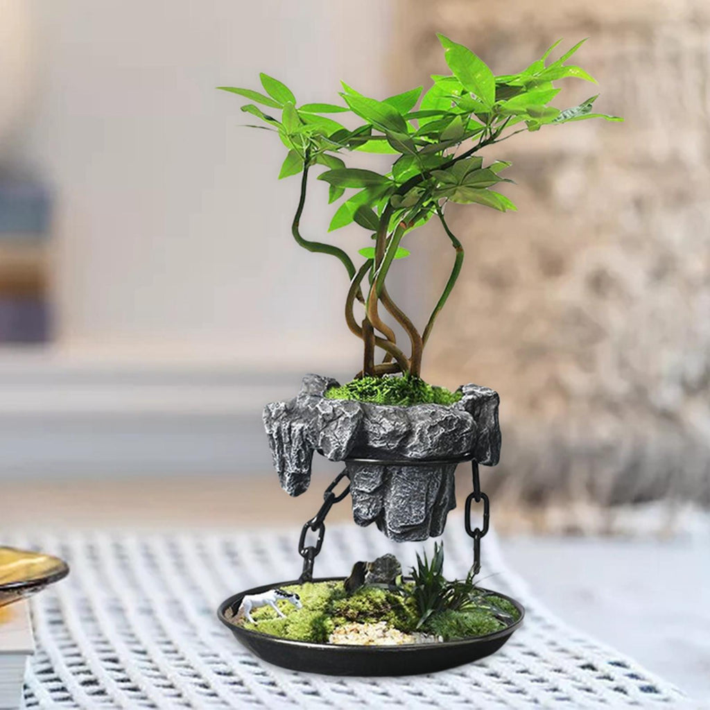 Sikunuo | Sky Garden Levitating Indoor Air Flower Pot
