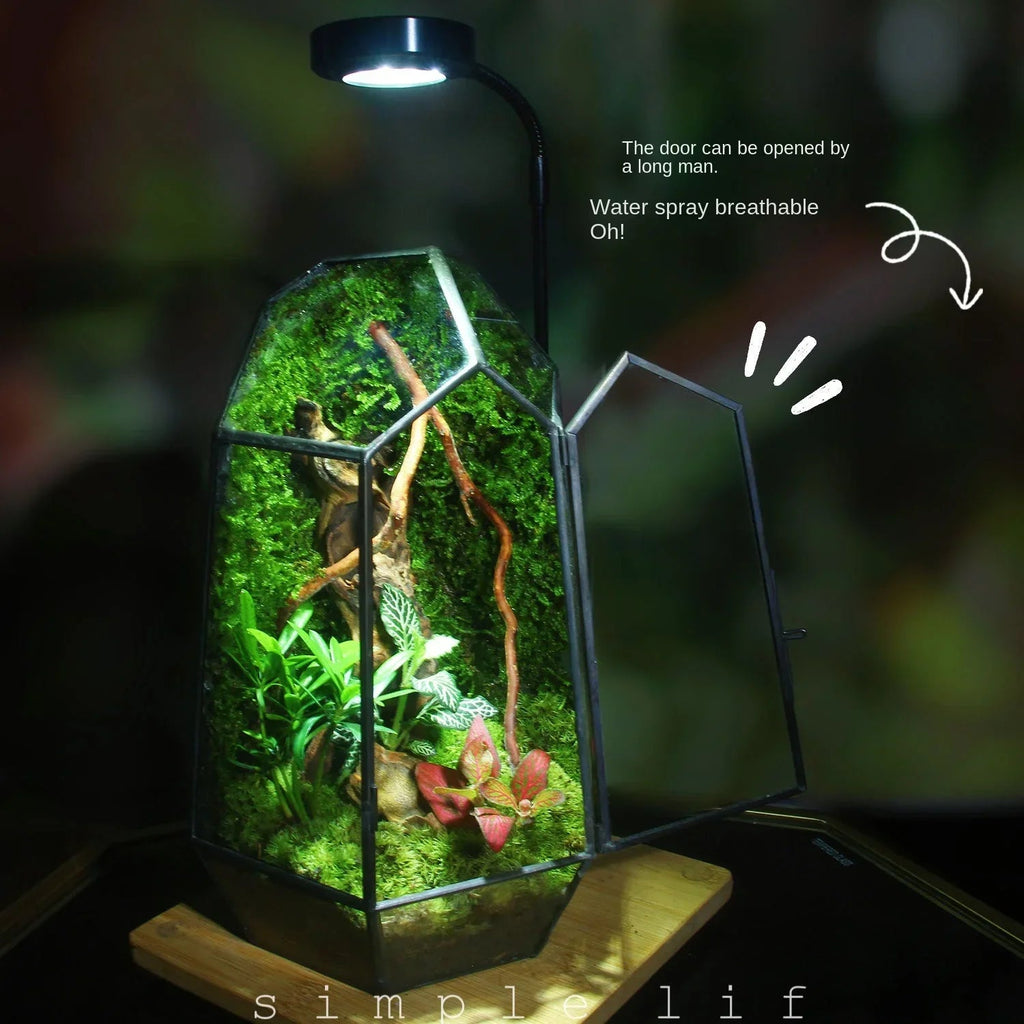 Sikunuo | Modern Geometric Nature-Inspired Botanical Terrarium