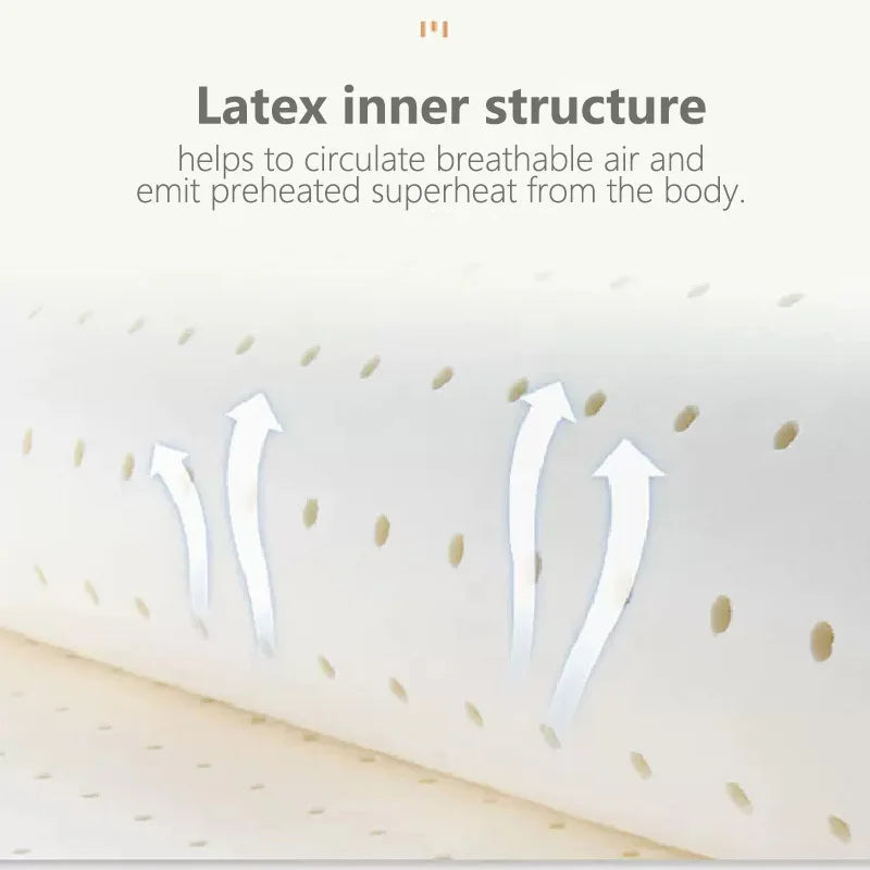 Sikunuo | Ultra Cool Latex Washable Comfy Reading Back Pillow