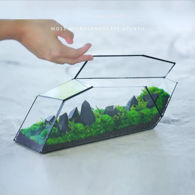 Sikunuo | Geometric Glass Moss Planter Terrarium Vase