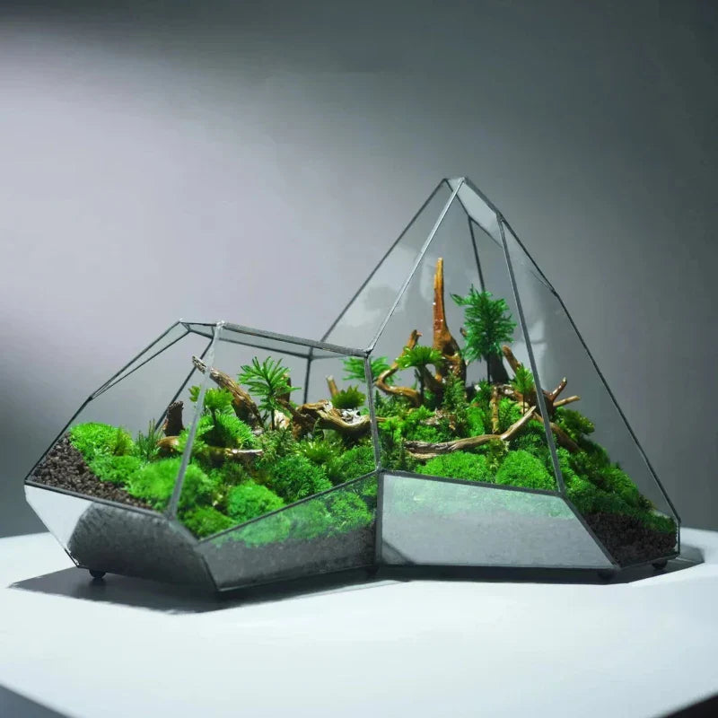 Sikunuo | Geometric Glass Moss Planter Terrarium Vase