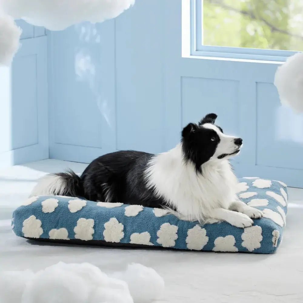 AquaRest • Waterproof Dog Bed for Indoor & Outdoor Comfort