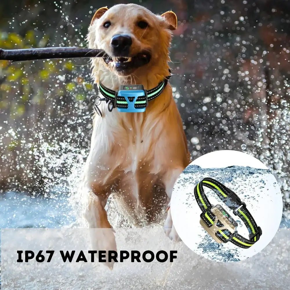 Rechargeable Dog Bark Collar with 5 Sensitivity Levels and IP67 Waterproof Receiver