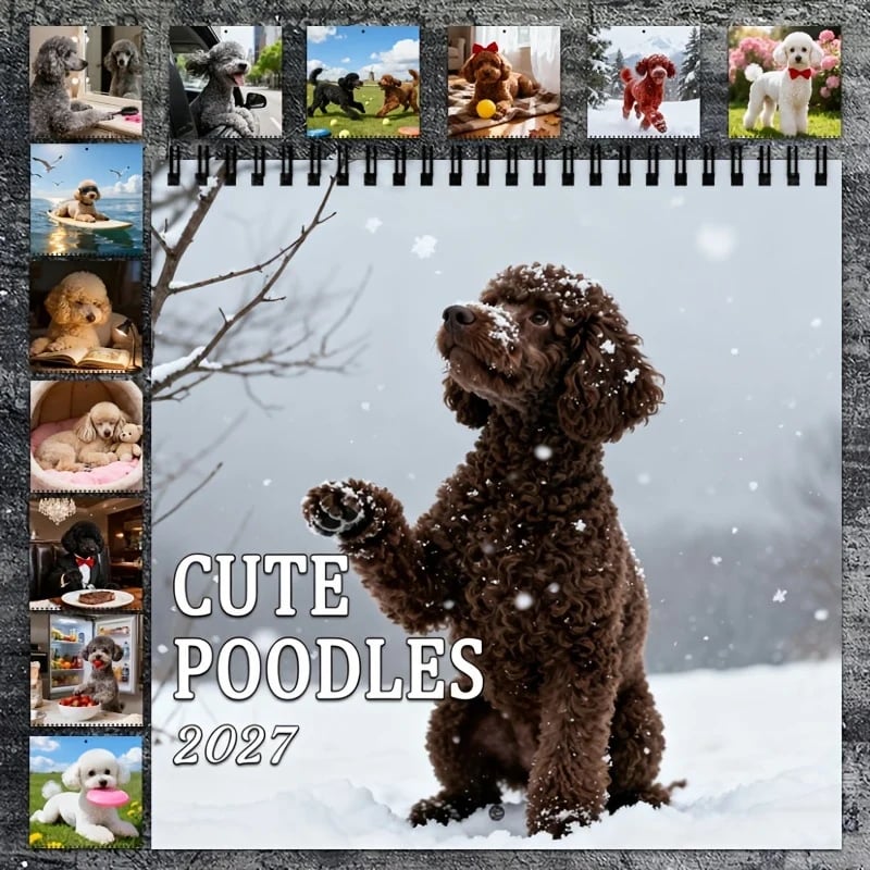 2027 Cute Poodle Calendar