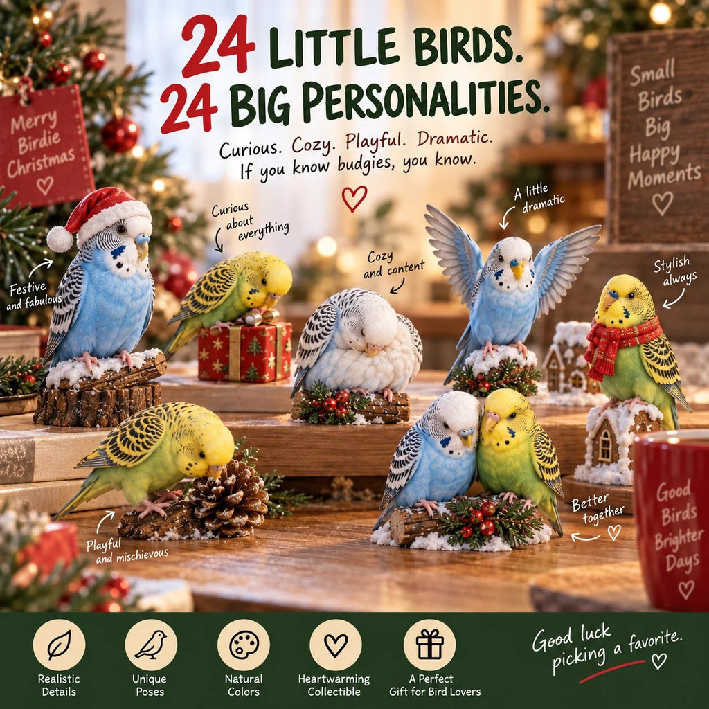 24 Days of Budgie Bliss – 24 small birds, 24 big personalities