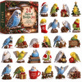 24 Days of Budgie Bliss – 24 small birds, 24 big personalities