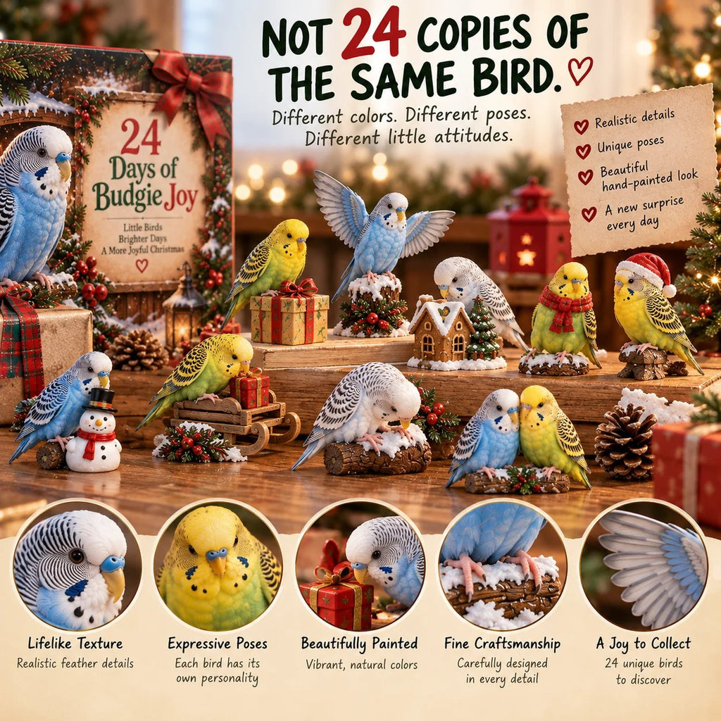 24 Days of Budgie Bliss – 24 small birds, 24 big personalities