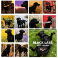 Black Labs 2027 Wall Calendar