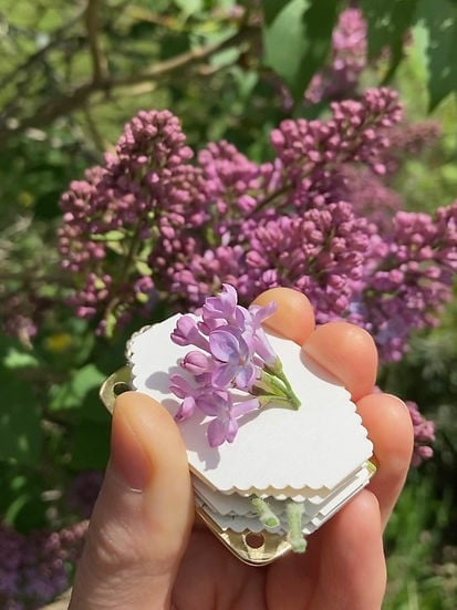 Sikunuo | Mini Flower Press | Compact Botanical Keepsake Maker | Portable Craft Tool
