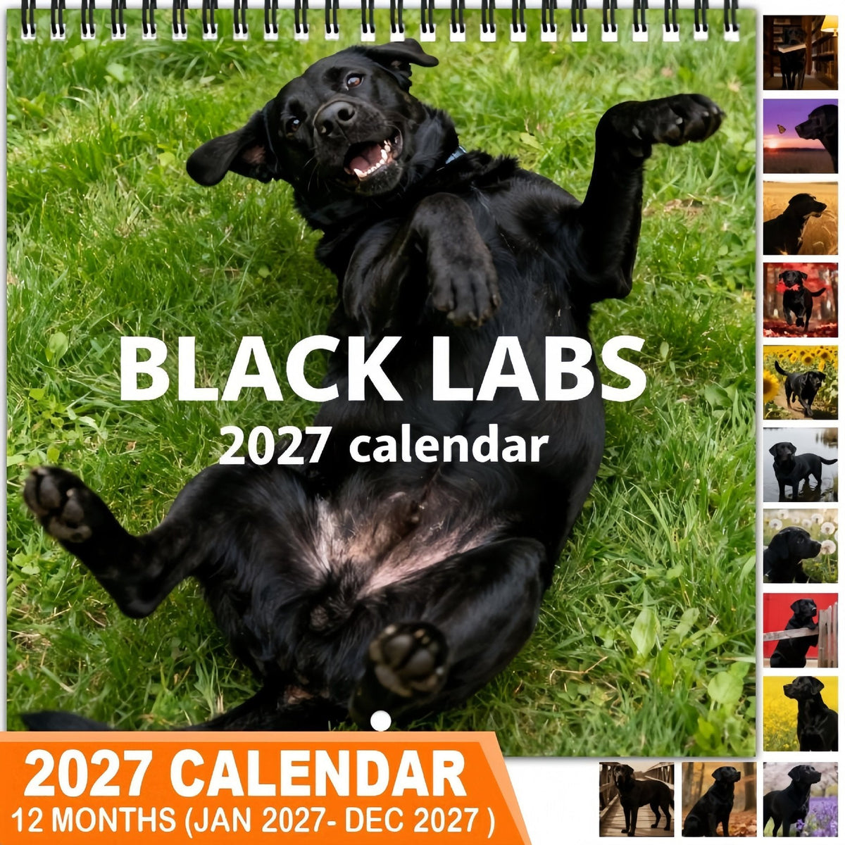 Black Labs 2027 Wall Calendar