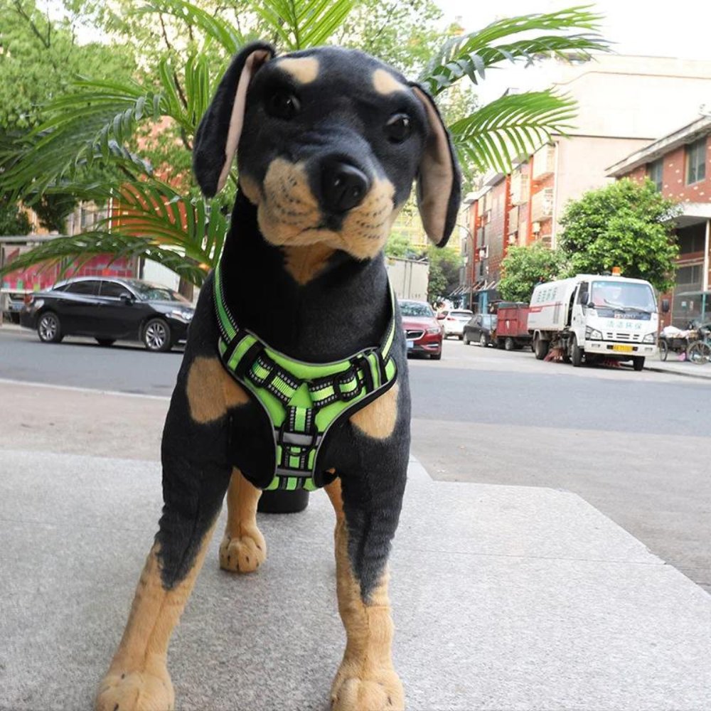 FlexHarness  •  No Pull Dog Harness