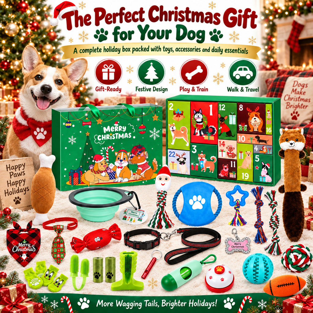 Christmas Dog Gift Advent Calendar - 24 Dog Toys