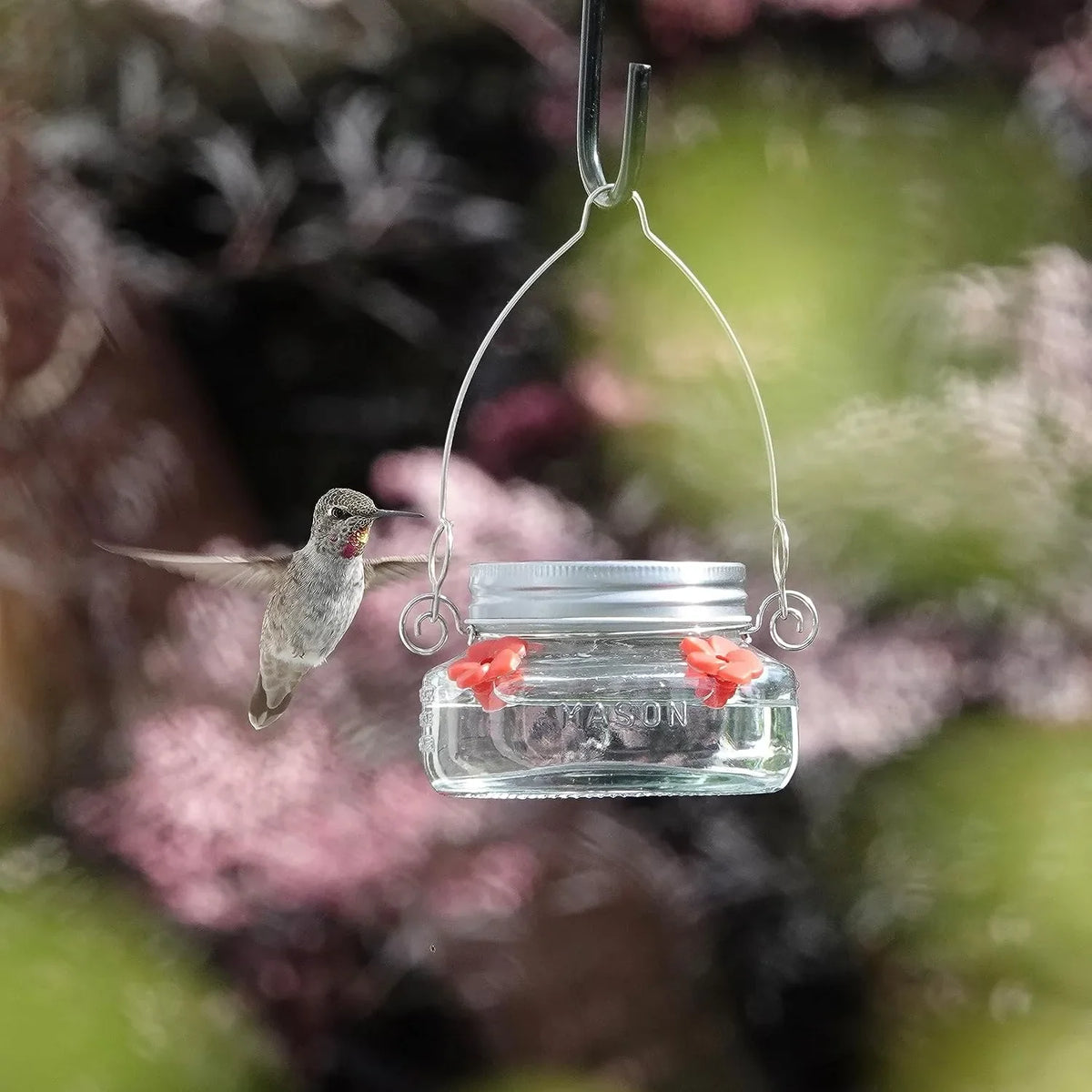 Beautiful Plastic Jar Hummingbird Feeder W/ Four Ports