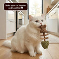 Catnip & Silvervine Chew-3 PCS