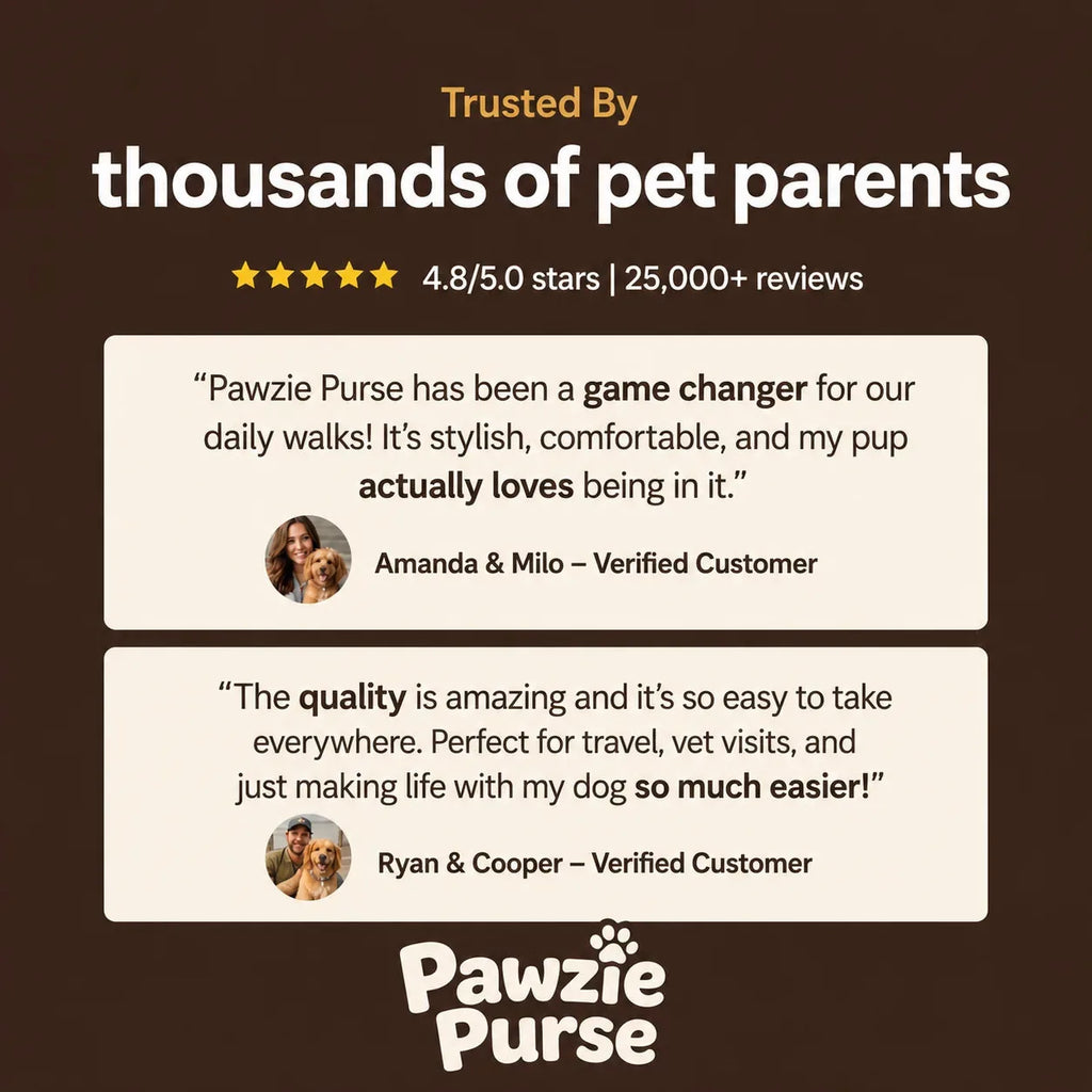 Pet Carrier Backpack