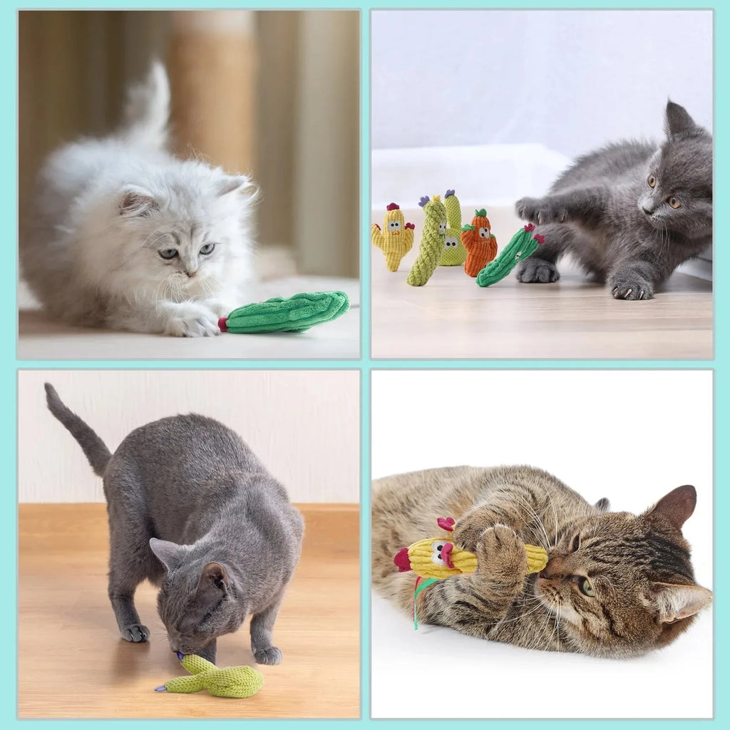 Cactus Catnip Cat Toy Collection
