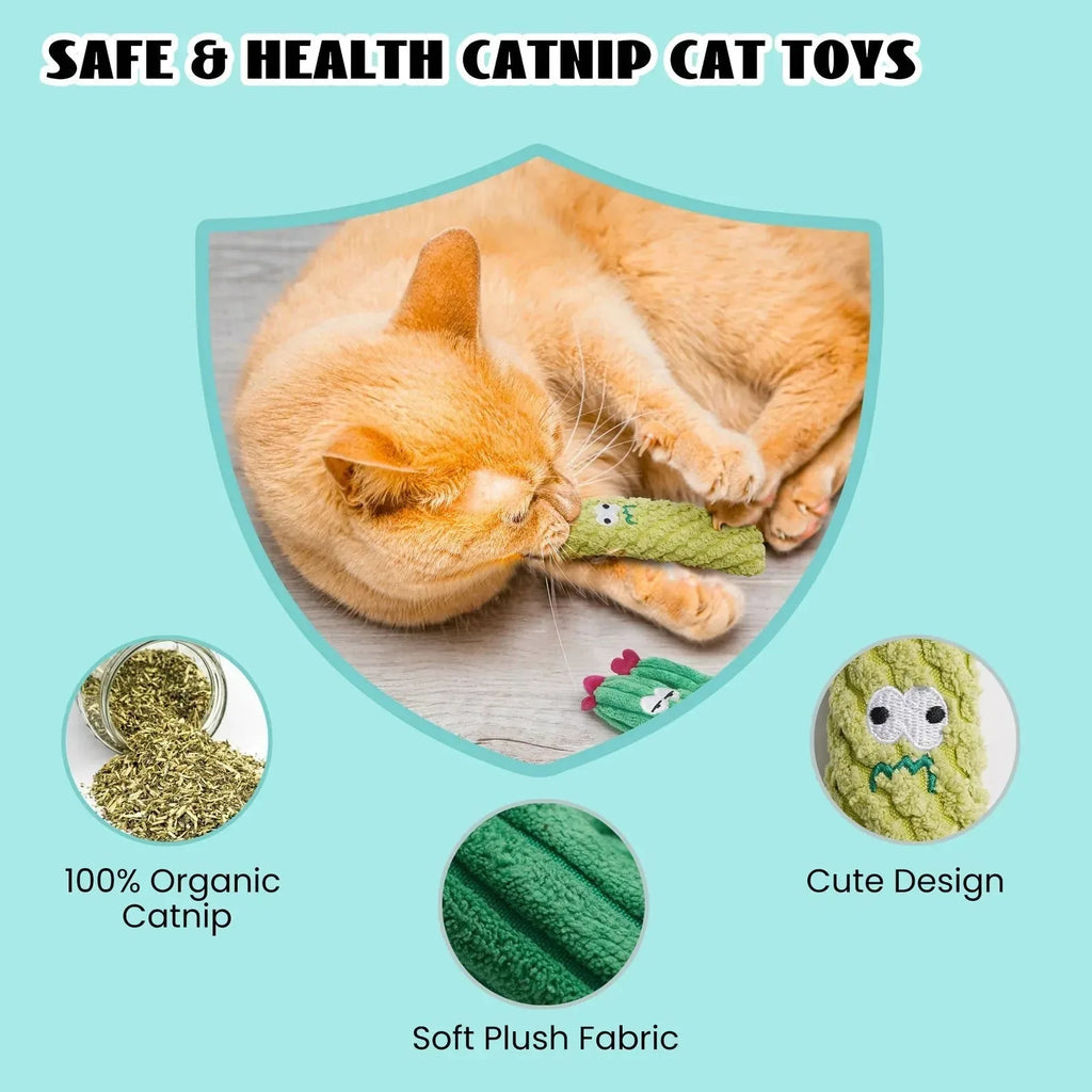 Cactus Catnip Cat Toy Collection