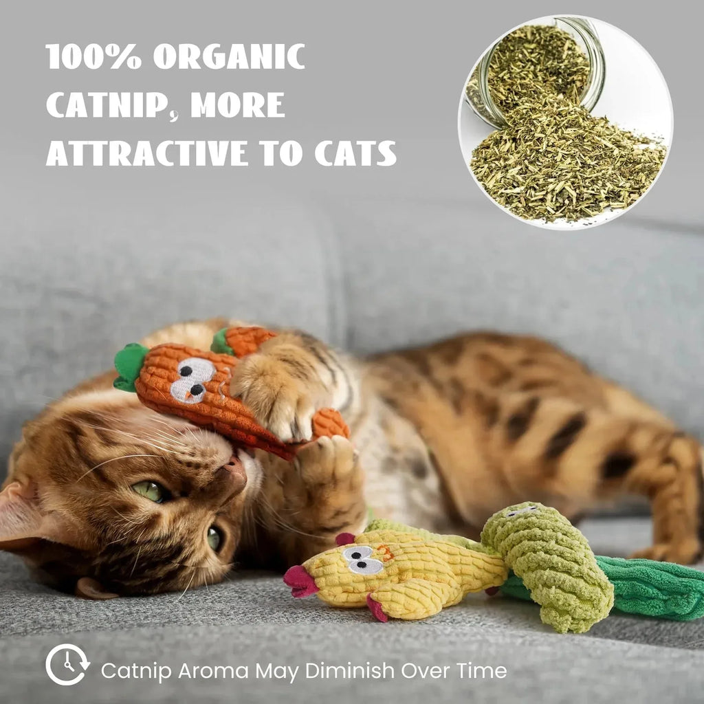 Cactus Catnip Cat Toy Collection