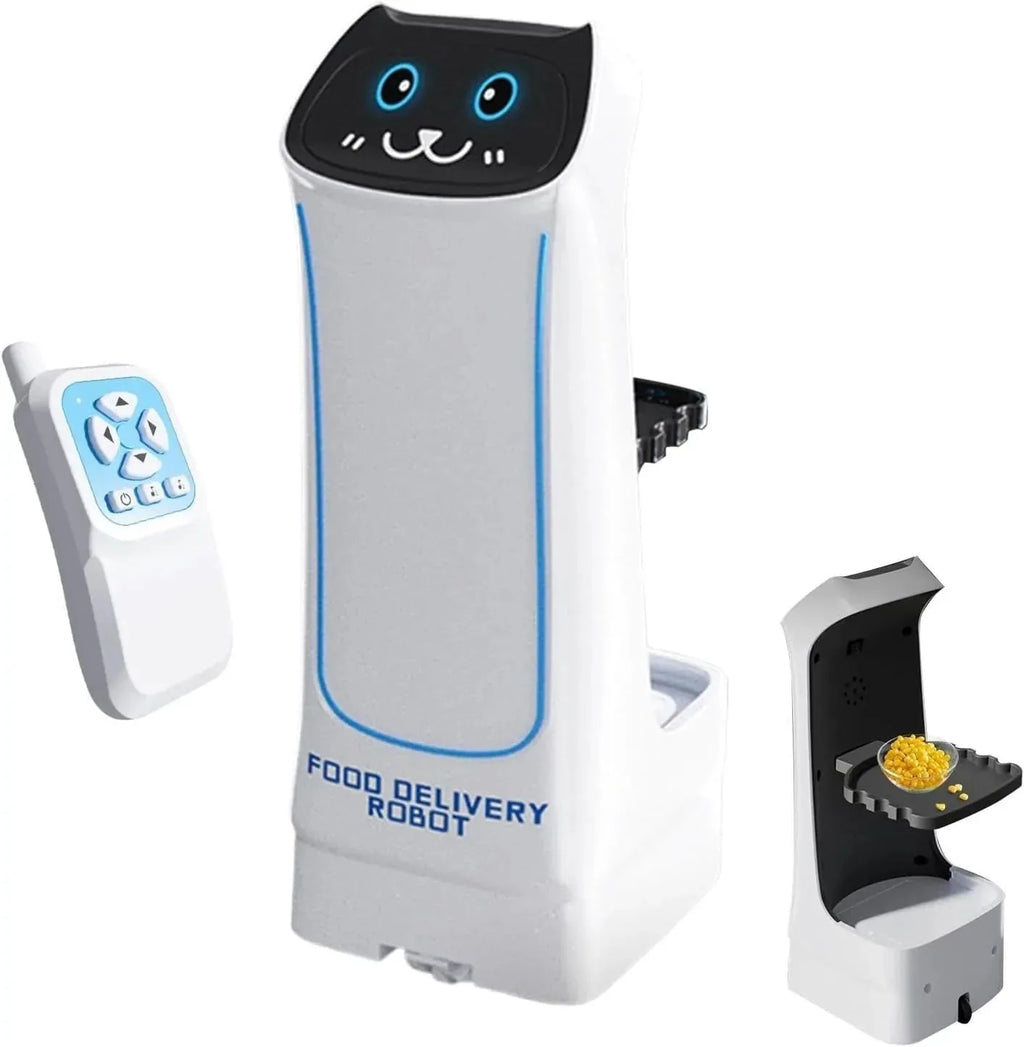 Interactive Food Delivery Robot Toy