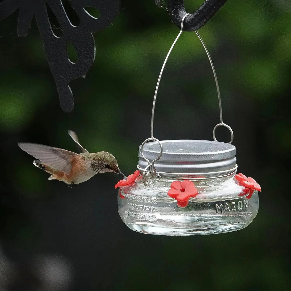 Beautiful Plastic Jar Hummingbird Feeder W/ Four Ports