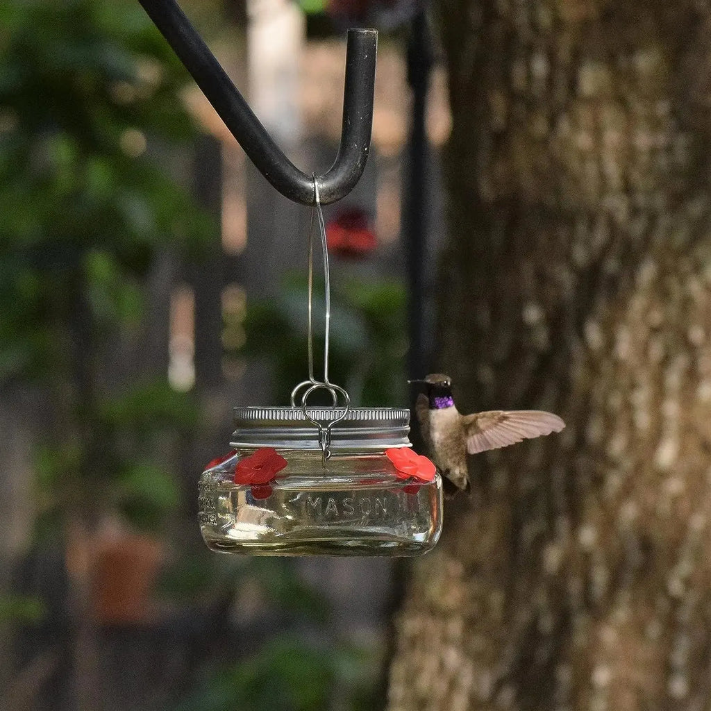 Beautiful Plastic Jar Hummingbird Feeder W/ Four Ports
