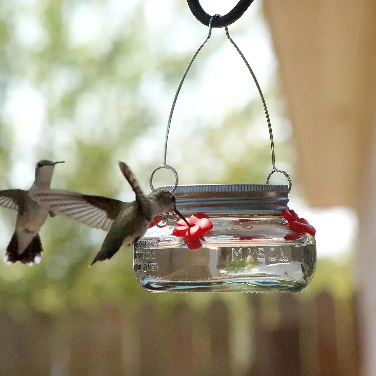 Beautiful Plastic Jar Hummingbird Feeder W/ Four Ports