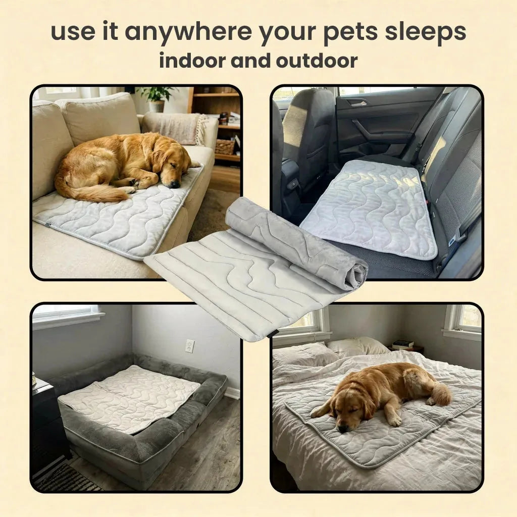 Self-cooling pet mat
