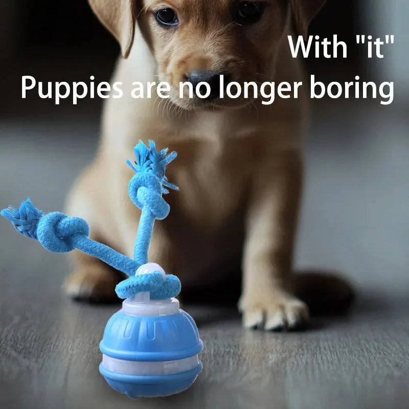 1Rope Runner Interactive Squeaky Rechargeable Small Dog Ball & Rope Toy