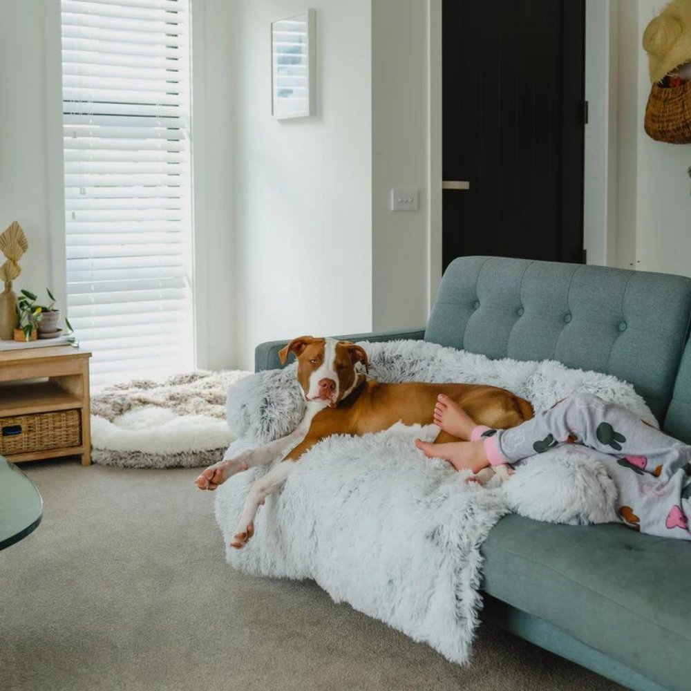 PawShield • Calming Dog Couch Cover