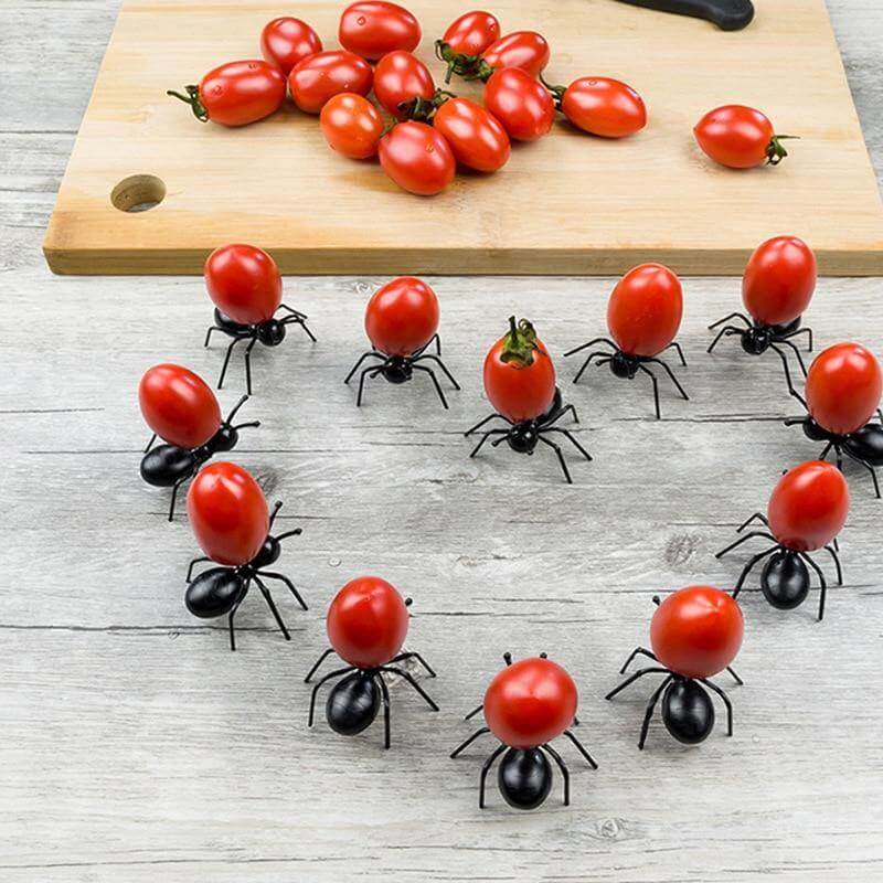 Sikunuo | 12Pcs Ants Food Fruit Holder