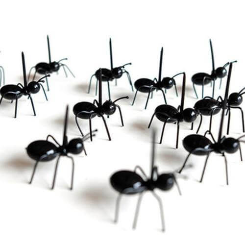 Sikunuo | 12Pcs Ants Food Fruit Holder