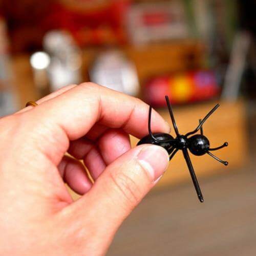 Sikunuo | 12Pcs Ants Food Fruit Holder