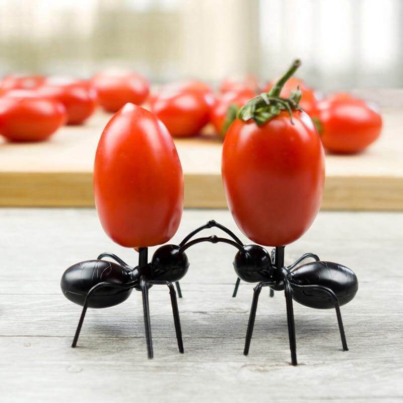 Sikunuo | 12Pcs Ants Food Fruit Holder
