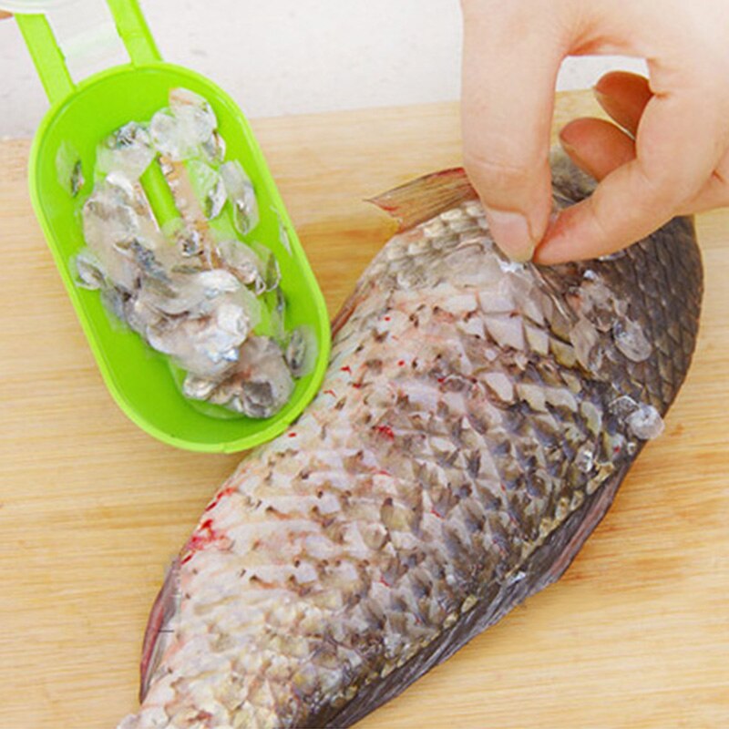 Sikunuo | Fish Cleaner Gadget