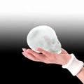 Sikunuo | Big Skull Shape 3D Ice Cube Mold