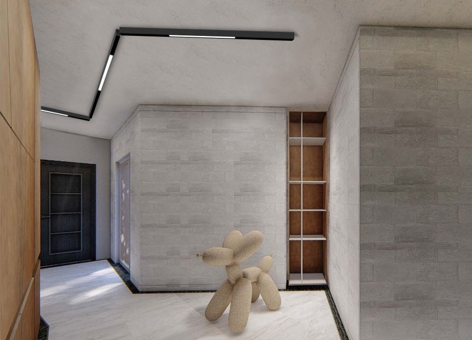 Sikunuo | Wall-Mounted Black Continuous Magnetic Track System Light