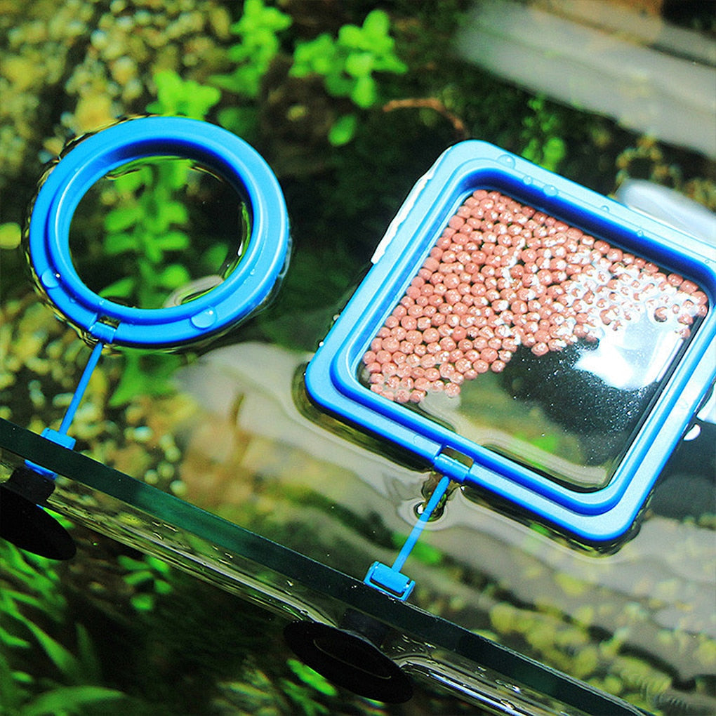 Sikunuo | Creative Aquarium Floating Fish Feeder Tray