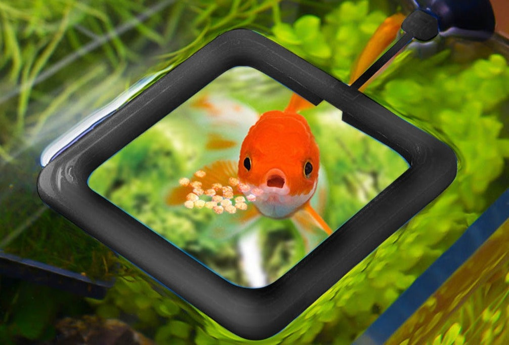 Sikunuo | Creative Aquarium Floating Fish Feeder Tray