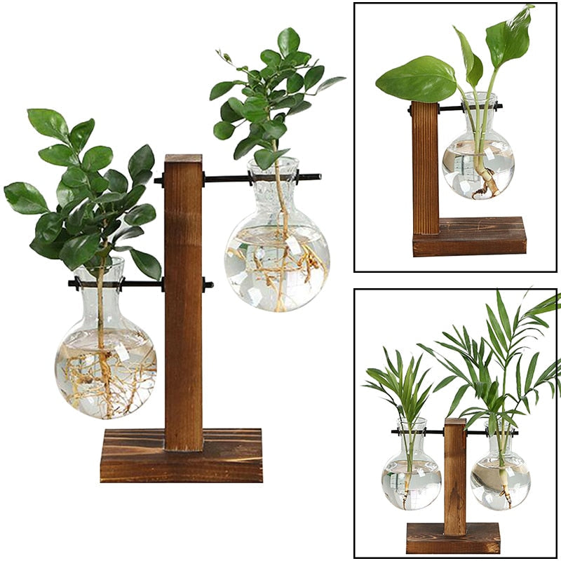 Sikunuo | Terrarium Hydroponic Vintage Tabletop Vase