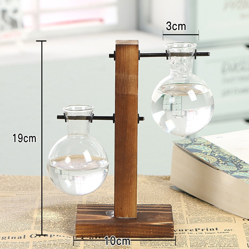 Sikunuo | Terrarium Hydroponic Vintage Tabletop Vase